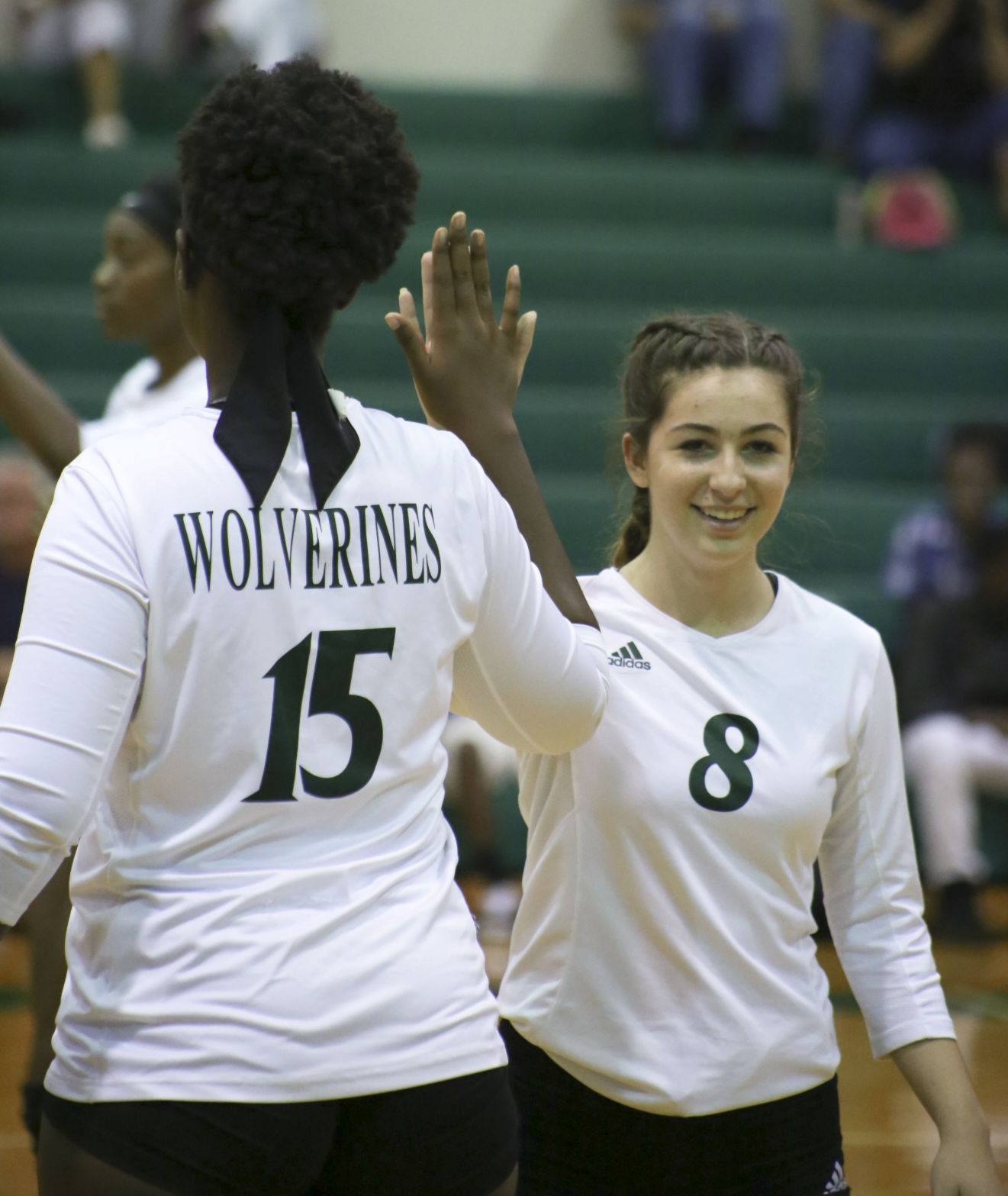 Woodland Volleyball hosts O-W